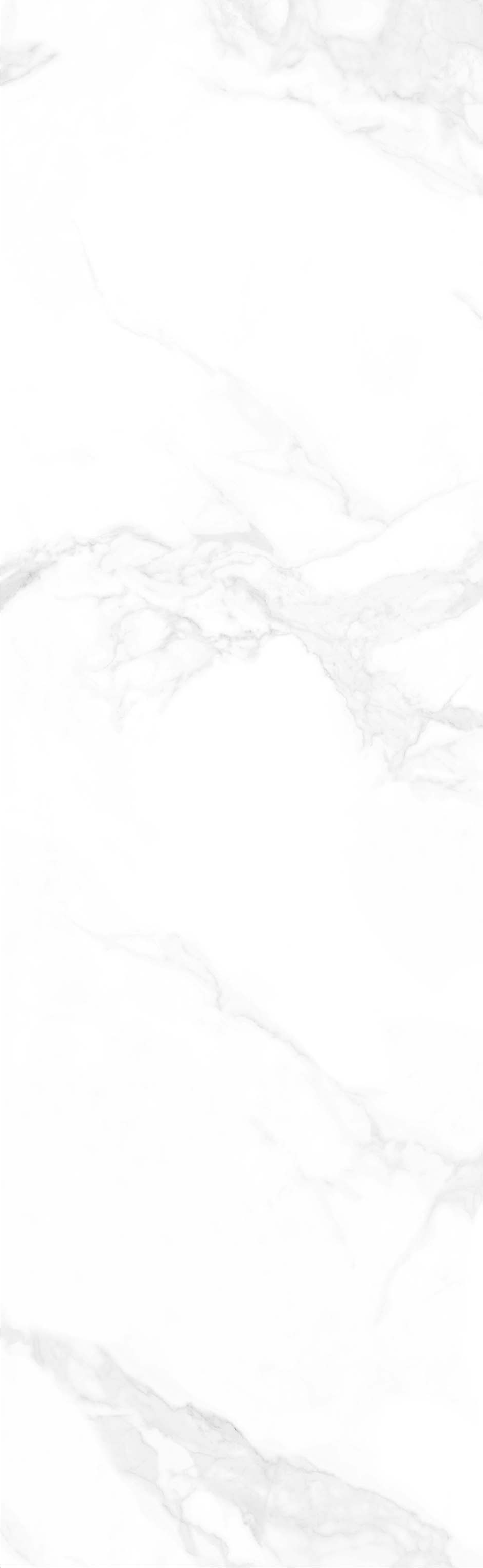 6vpg2680a019意大利鱼肚白